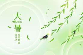 大暑绿色背景