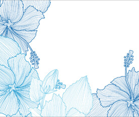 植物花卉线稿png