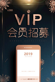 VIP会员