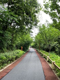 骑行道
