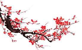 梅花