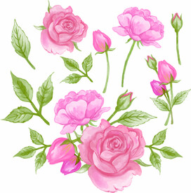 粉玫瑰花