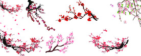 梅花