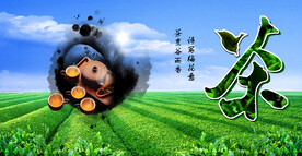 茶