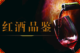 红酒品鉴