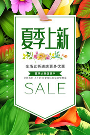 夏季上新