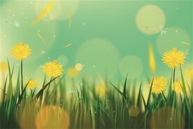 美丽花丛 