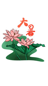 大暑荷花夏日