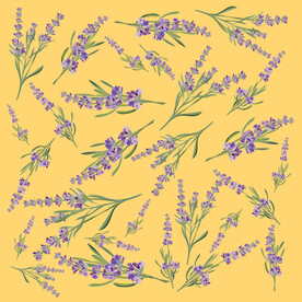 手绘花卉