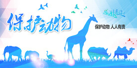 保护动物