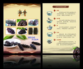 海参单页 