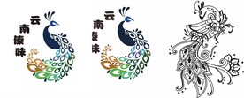 孔雀简笔