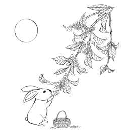 中秋桂花香