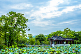 荷塘边中国风古建筑