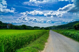 乡村道路