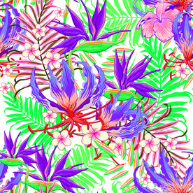 热带花
