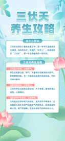三伏天 
