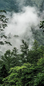 深山
