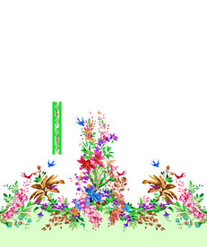 定位花 