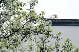 古镇建筑
