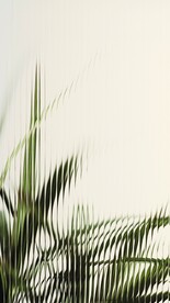 绿草