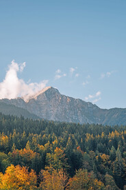 深山老林