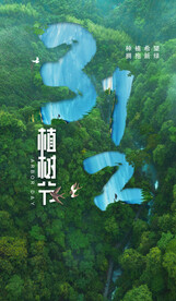 森林