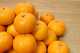 柑橘