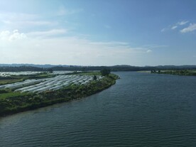 河上风景