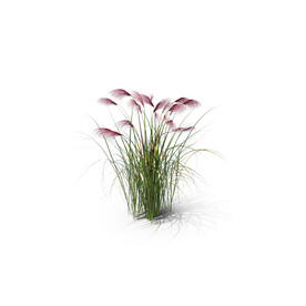 花草