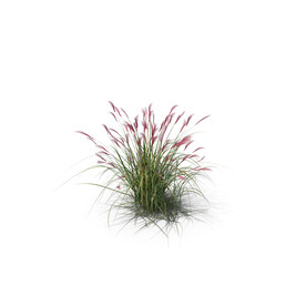 花草
