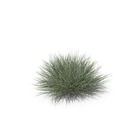 花草