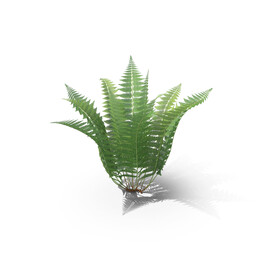 花草