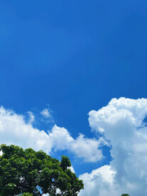 夏日天空