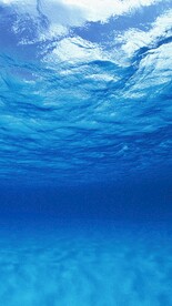 蓝色海洋