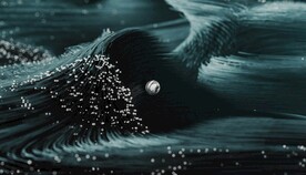 黑色颗粒