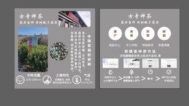 茶叶简介卡片