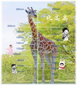 比高高