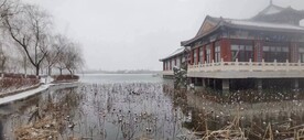 公园冬景