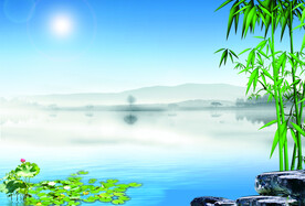 竹子 水流 山脉