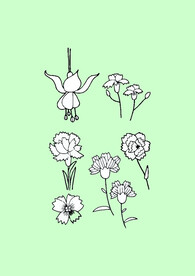 简笔画花朵