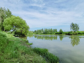 小河
