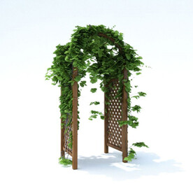 C4D模型 植物  