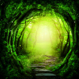 梦幻森林