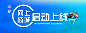 网上商城启动上线