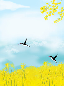  油菜花 