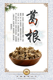 养生-葛根