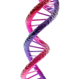 DNA分子 