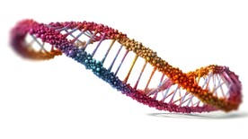 DNA分子 