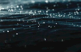 黑色颗粒